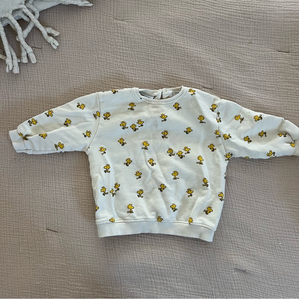 Zara Woodstock sweatpant outfit